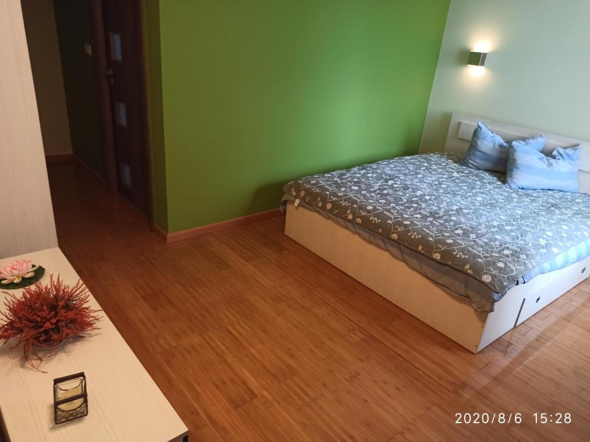 Casa Tiky Hotel Timisoara Exterior photo