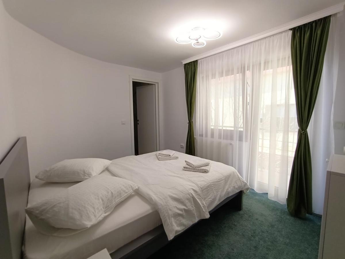 Casa Tiky Hotel Timisoara Exterior photo